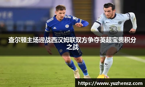米乐yy易游体育