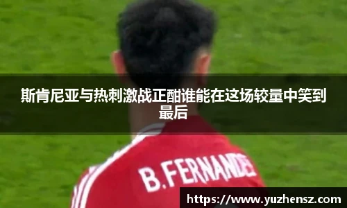 yy易游