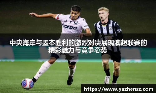 yy易游体育网址