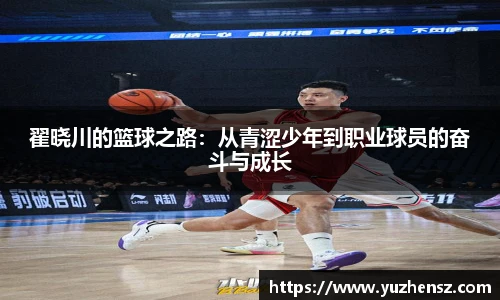 yy易游体育网址