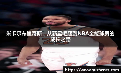 yy易游