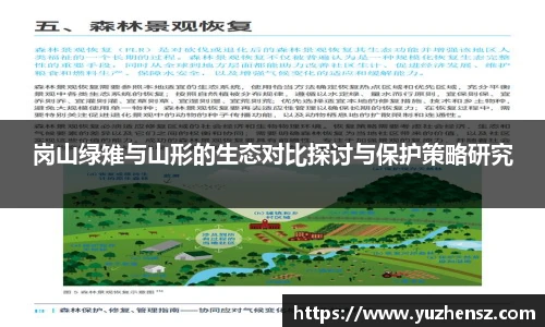 yy易游体育网址